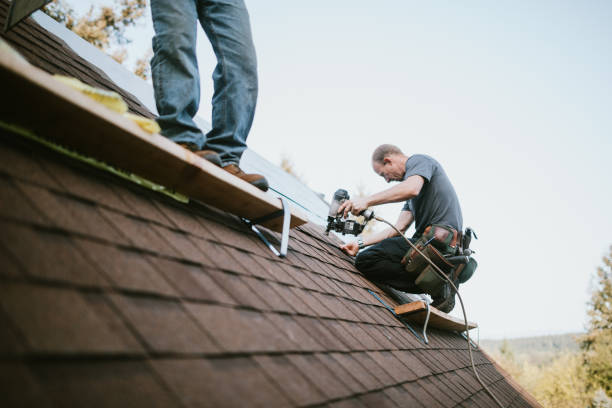 Roof Gutter Cleaning in Conrad, IA
